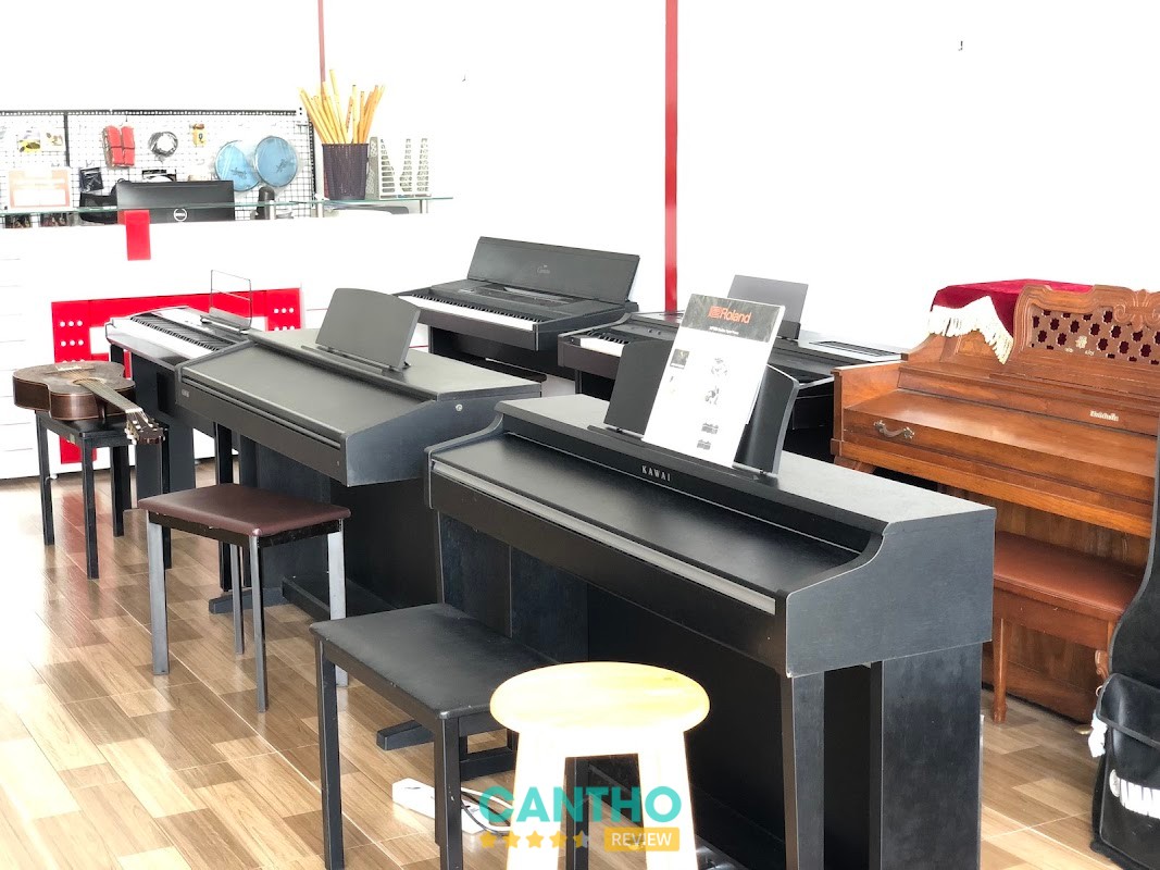 Các loại nhạc cụ tại Trung tâm M Music
