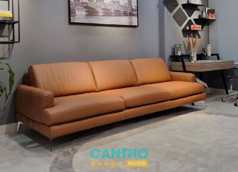ZSOFA Cần Thơ – hình ảnh 3