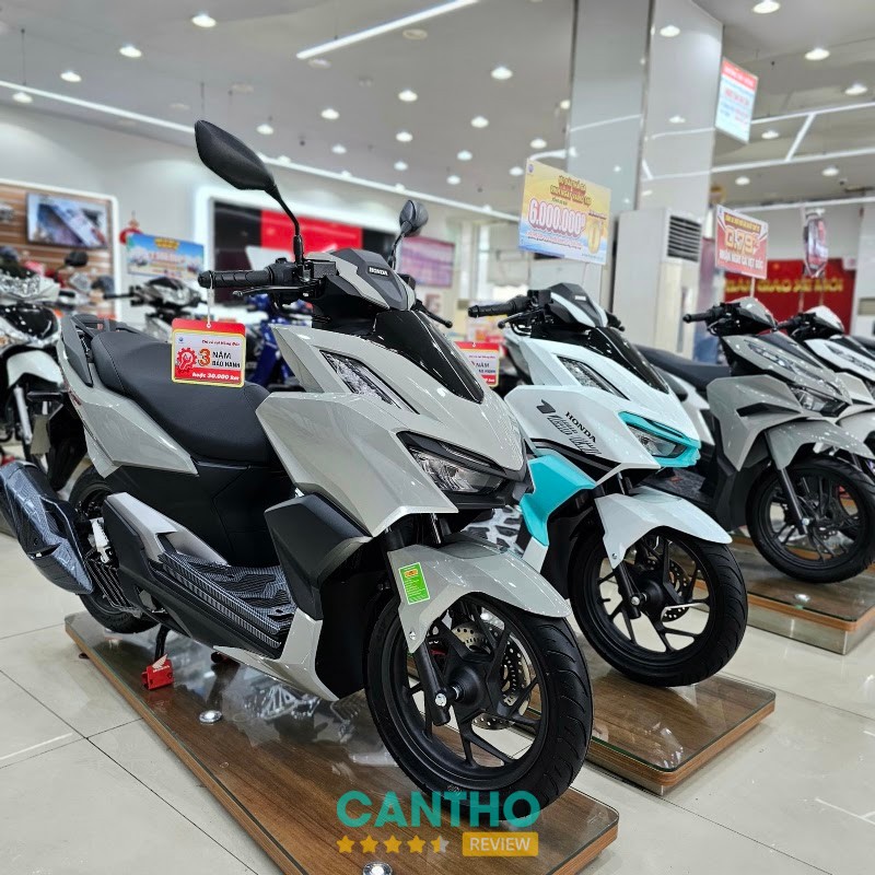 Hồng Đức 8 – hình ảnh 3