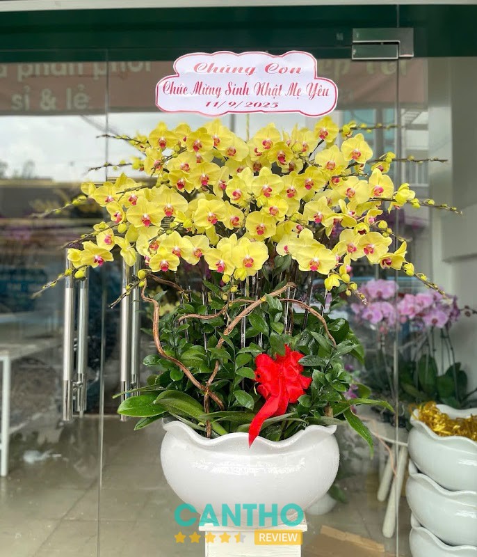Cửa Hàng Hoa Khuê My – hình ảnh 3