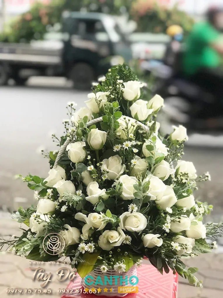 Shop Hoa Tươi Tây Đô Cái Răng – hình ảnh hoa tươi tham khảo khi đặt hoa viếng