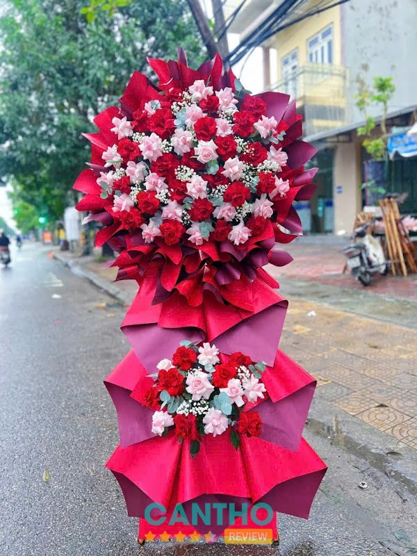 Hoarosa – hình ảnh 2