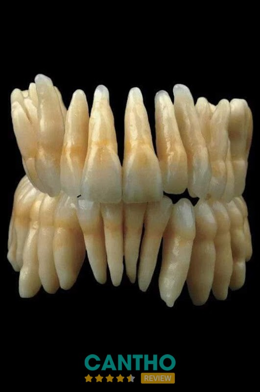 Nha Khoa Phụng Hiệp – khám răng