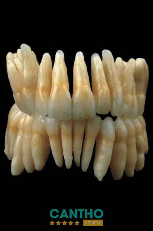 Nha Khoa Phụng Hiệp - hình 2