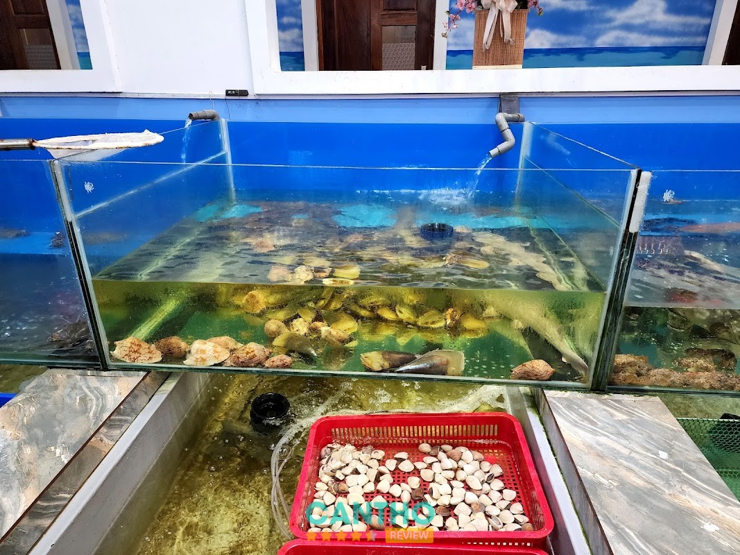 Nhà Hàng Hải Sản Biển Đông Sóc Trăng – hình ảnh 3