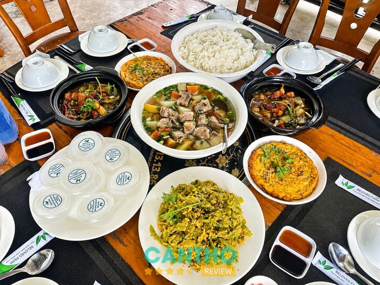 Trang Trại Nhà Hàng Ngôi Sao Nhỏ – khu vực ăn uống gia đình