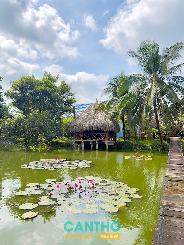 Vườn Sinh Thái Xẻo Nhum – hình ảnh 3