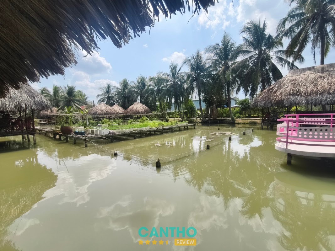 Vườn Sinh Thái Hoa Súng – hình ảnh 3
