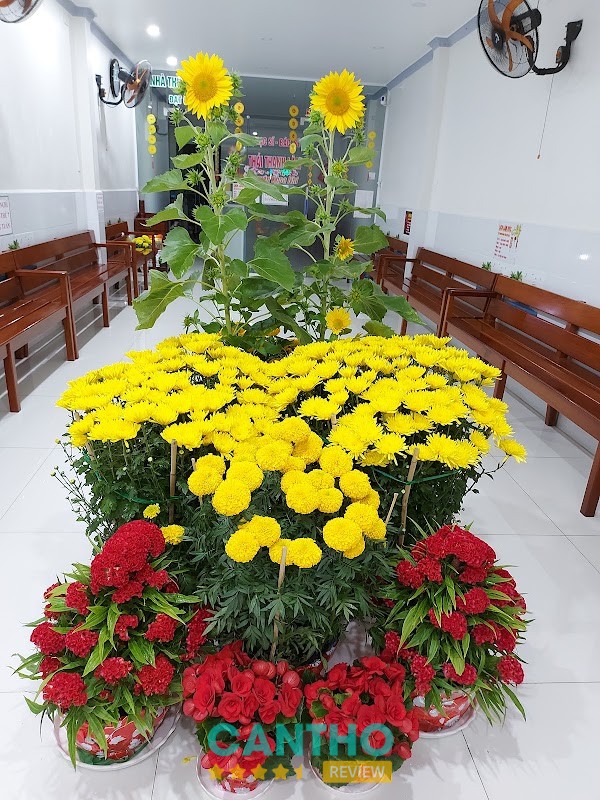 Phòng Khám BS Thái Thanh Lâm hình ảnh 3