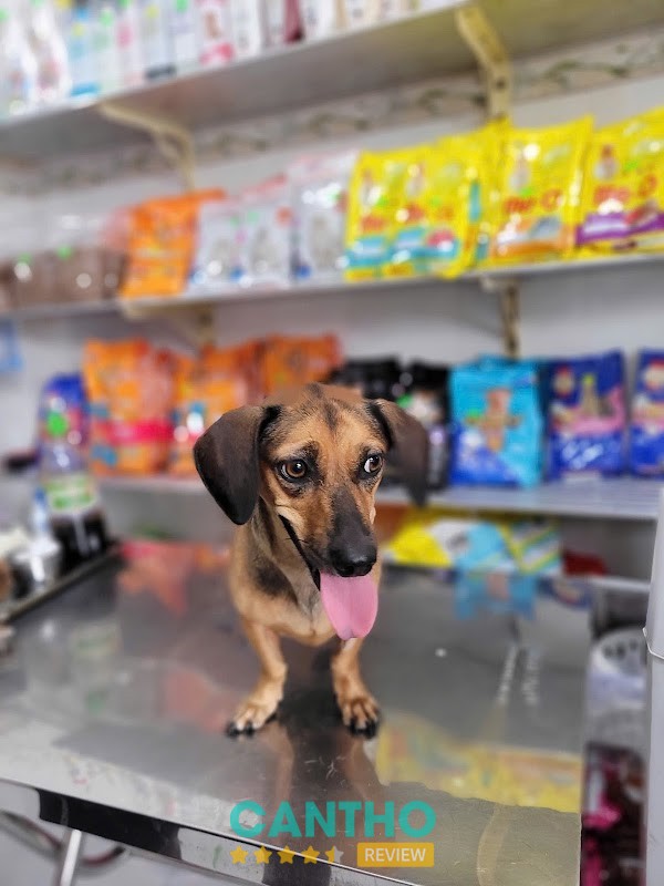 Phòng Khám Thú Y Petshop Bích Diễm🏥 – ảnh 2