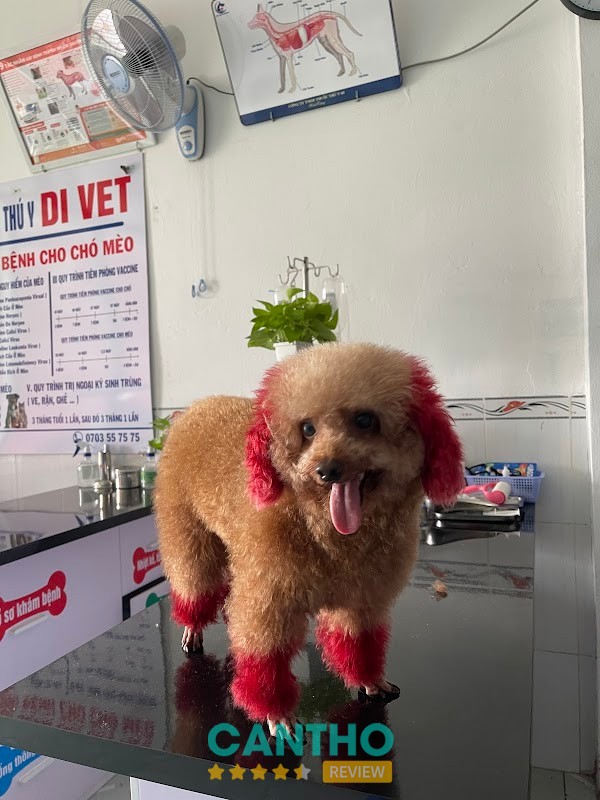 Phòng Khám Thú Y DI VET - Tân Phú Thạnh (Cấp Cứu 24/7) – ảnh 3