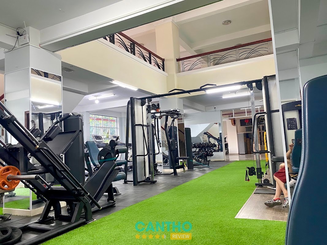Mèo Gym Hưng Phú