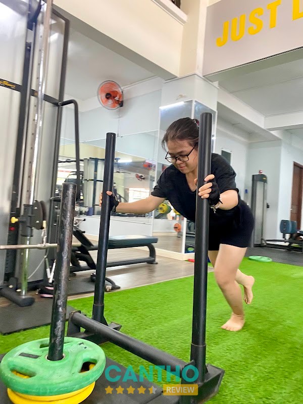 Mèo Gym – hình ảnh 2
