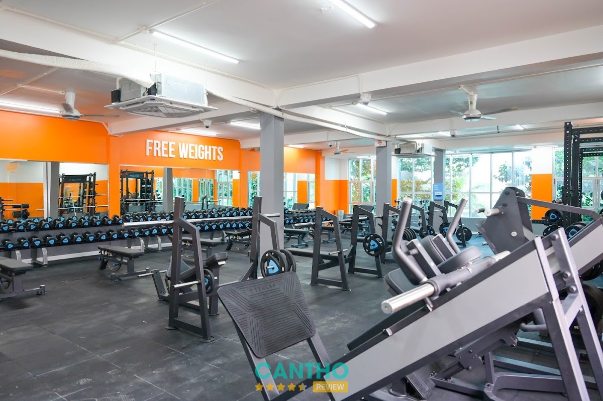 The New Gym – hình ảnh 3