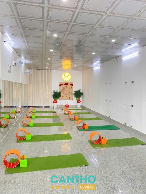 T.YOGA – hình ảnh 3