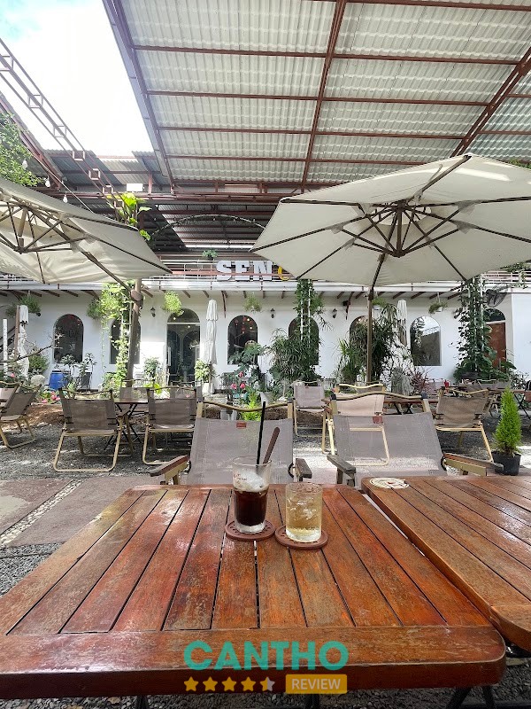 Sen Coffee – hình ảnh 3