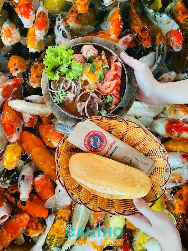 Cafe IKoi – hình ảnh 2