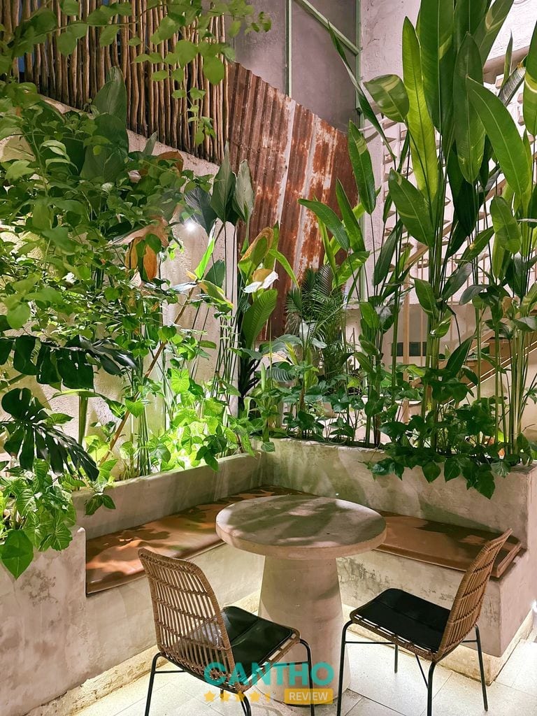 Hữu Vui Chay trên đường Lý Tự Trọng Ninh Kiều