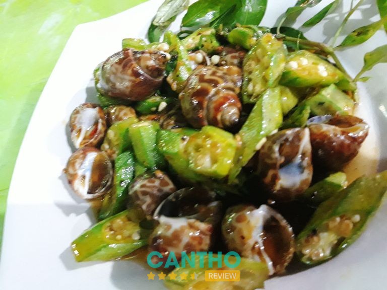 Ốc Hà Tiên Phương – hình ảnh thực tế 2