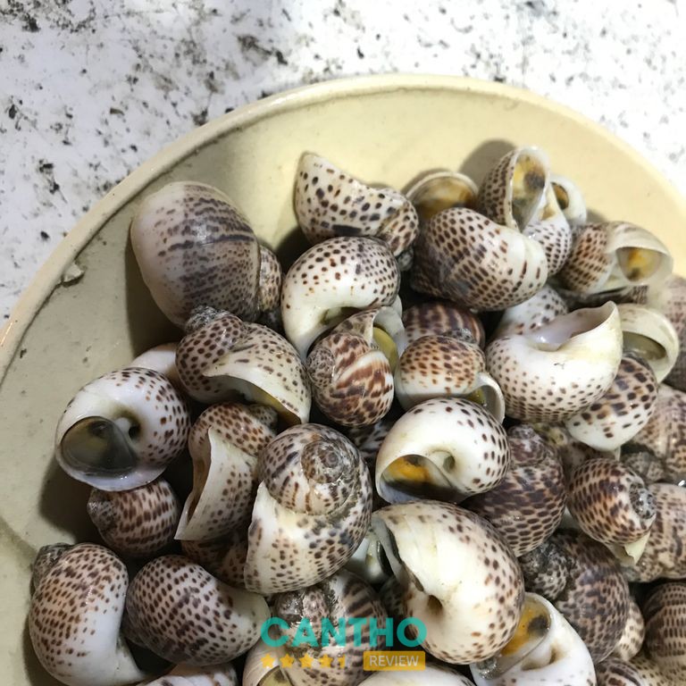 Quán Ốc Thanh Thúy – hình ảnh 2