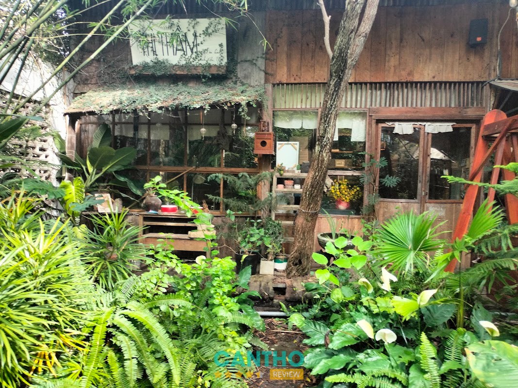 Hoa Yên An Bình – hình ảnh 3