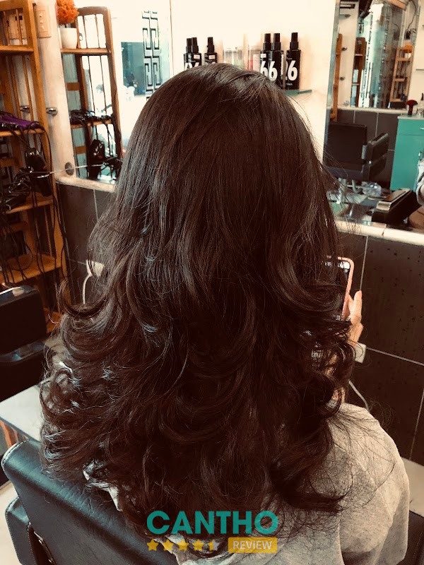Salon Tùng – hình ảnh 3