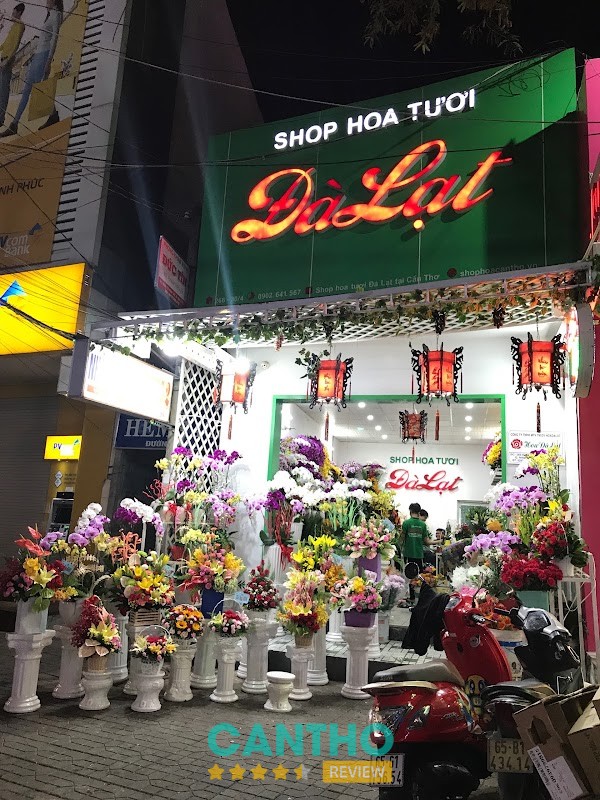 Hoa Tươi Đà Lạt – hình ảnh 2