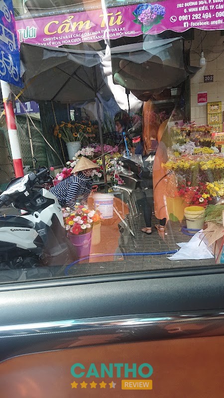 Hoa Tươi Cẩm Tú – hình ảnh 2