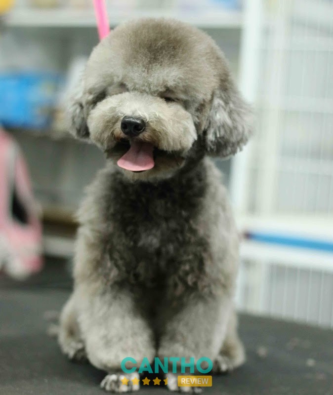 Không gian RUBY PET Cần Thơ