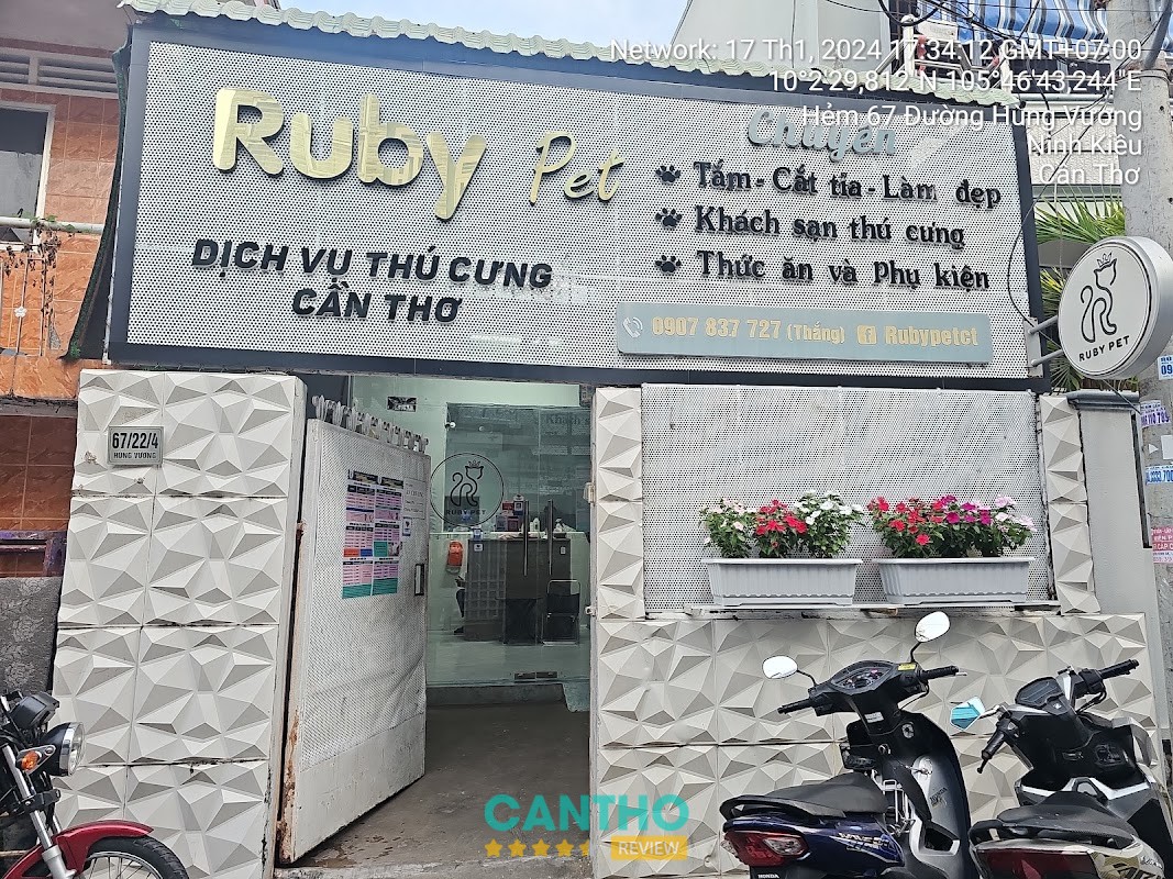 Dịch vụ chăm sóc thú cưng tại RUBY PET