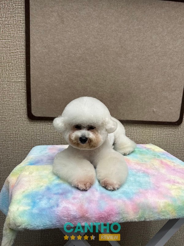 HQ PET Cần Thơ