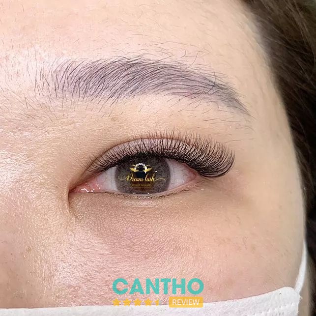 Dream Lash Salon - hình ảnh 2