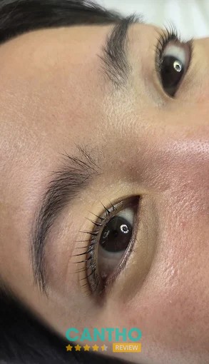 Mây Nối Mi - hình ảnh 2