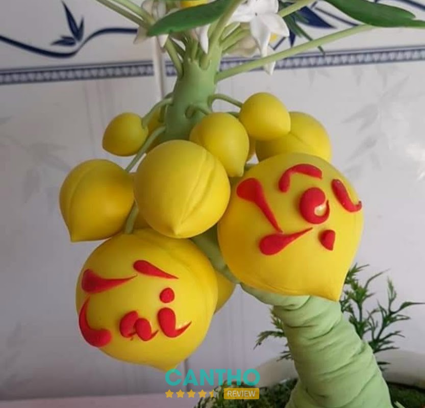 Trường Mầm Non Hoa Trà Mi – hình ảnh 3