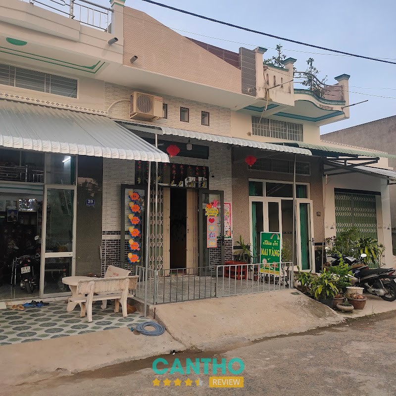 Mầm Non Mai Vàng Vị Thanh