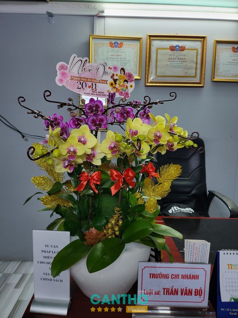 Văn Phòng Luật Sư Trần Độ – hình ảnh địa điểm 3
